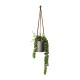 Hanging Succulent II - Deko Green - Asa Selection ASA SELECTION ASA66248444