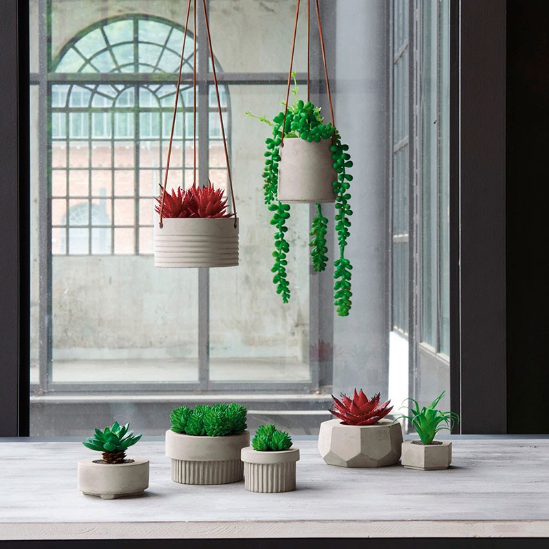 Planta de Colgar Artificial Suculentas II - Deko Verde - Asa Selection