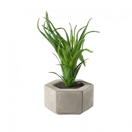 Maxi Succulent artificial plant I - Deko Green - Asa Selection ASA SELECTION ASA66250444