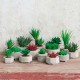 Maxi Succulent artificial plant I - Deko Green - Asa Selection ASA SELECTION ASA66250444