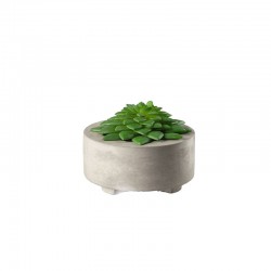 Maxi Succulent Artificial Plant II - Deko Green - Asa Selection