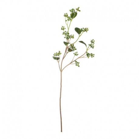 Dewberry Twig 77,5cm - Deko Green - Asa Selection ASA SELECTION ASA66618444