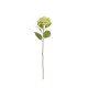 Artificial Hydrangea Twig 43cm – Deko Green - Asa Selection ASA SELECTION ASA66633444