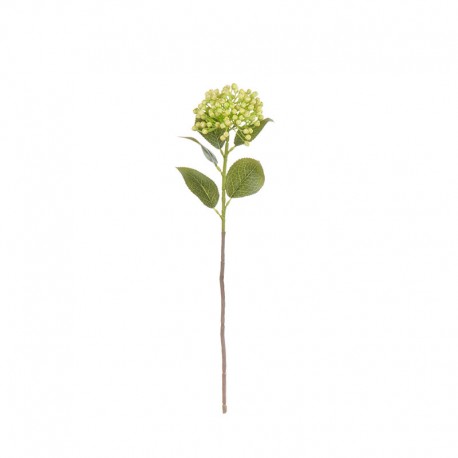 Artificial Hydrangea Twig 43cm – Deko Green - Asa Selection ASA SELECTION ASA66633444