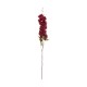 Artificial Aristolochia Ringens Twig 78cm – Deko Red - Asa Selection ASA SELECTION ASA66667444