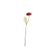 Artificial Daisy Twig Red 30,5cm - Deko - Asa Selection ASA SELECTION ASA66673444