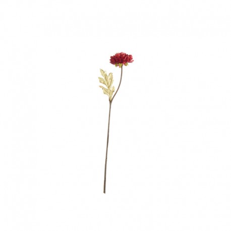 Artificial Daisy Twig Red 30,5cm - Deko - Asa Selection ASA SELECTION ASA66673444