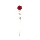 Artificial Carnation Twig Red 62cm - Deko - Asa Selection ASA SELECTION ASA66684444