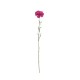 Tallo Artificial Clavel Rosa 62cm – Deko - Asa Selection ASA SELECTION ASA66685444