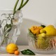 Crystal Clear Bowl - Bacchantes - Lalique LALIQUE LQ10547900
