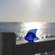Escultura Peixe em Azul Cap-Ferrat - Lalique LALIQUE LQ3002100