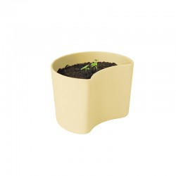 Planting Pot with Seeds Yellow - Your Tree - Rig-tig RIG-TIG RTZ00136