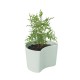 Vaso com Sementes Verde - Your Tree - Rig-tig RIG-TIG RTZ00136-1