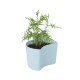 Vaso com Sementes Azul - Your Tree - Rig-tig RIG-TIG RTZ00136-3