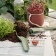 Gardening Tools 3Pcs - Green-It - Rig-tig RIG-TIG RTZ00135