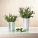 Vase 21,5cm Hints of Mint – Blossom - Asa Selection ASA SELECTION ASA83083178