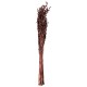Oat Grass Bouquet - Dried Flowers Brown - Asa Selection ASA SELECTION ASA66313444