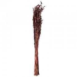 Ramo de Flores Secas Aveia - Dried Flowers Castanho - Asa Selection ASA SELECTION ASA66313444