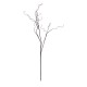 Branch Light Brown 100cm - Deko - Asa Selection ASA SELECTION ASA66329444