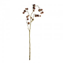 Fruit Branch Light Brown 93cm - Deko - Asa Selection
