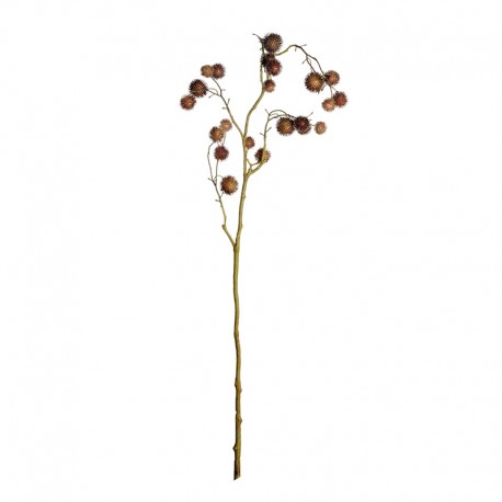 Fruit Branch Light Brown 93cm - Deko - Asa Selection ASA SELECTION ASA66477444