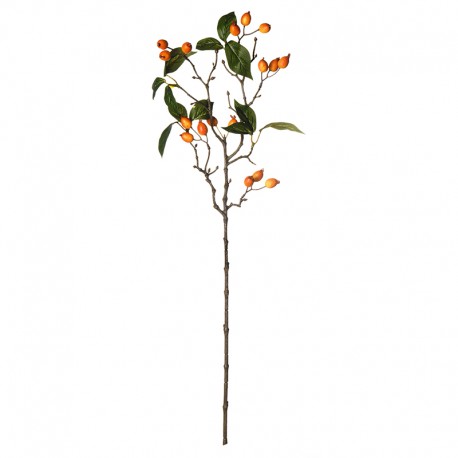 Single Berry Branch Organge 66cm - Deko - Asa Selection ASA SELECTION ASA66890444