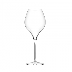 Sert of 6 Wine Glasses - Masterclass 42 Transparent - Italesse