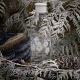 Drinking Bottle 750ml Frost Moomin - Drink-It - Rig-tig RIG-TIG RTZ00701-6