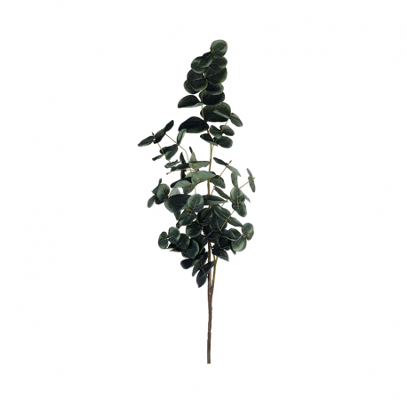 Rama de Eucalipto 45cm - Deko Verde - Asa Selection ASA SELECTION ASA66495444