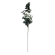 Eucalyptus Twig 88cm - Deko Green - Asa Selection ASA SELECTION ASA66498444