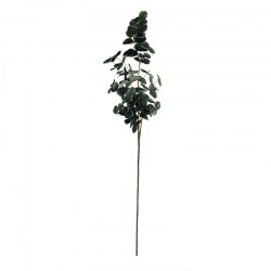 Eucalyptus Twig 88cm - Deko Green - Asa Selection