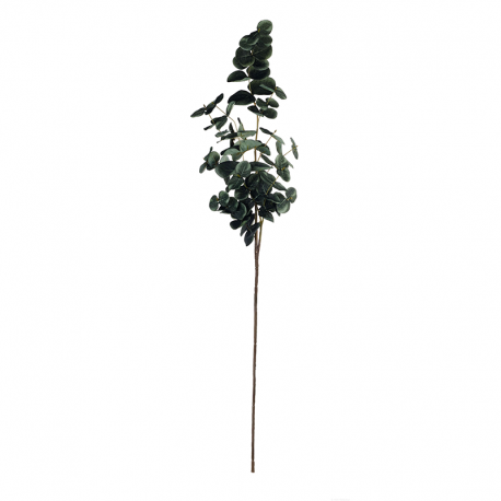 Eucalyptus Twig 88cm - Deko Green - Asa Selection ASA SELECTION ASA66498444
