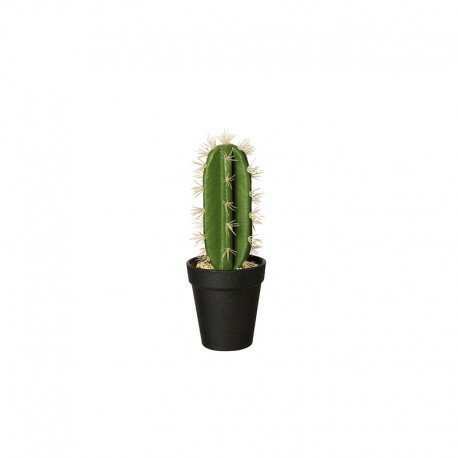 Vaso Com Cacto 'Euphorbia Ingens' 26cm - Deko Verde E Preto - Asa Selection ASA SELECTION ASA66202444