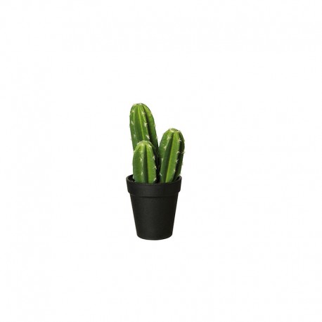 Vaso Com Cacto 'Pachycereus Pringli' 22cm - Deko Verde E Preto - Asa Selection ASA SELECTION ASA66203444