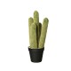 Cactus In Pot 'Cleisto Cactus' Ø12,5cm - Deko Verde E Preto - Asa Selection ASA SELECTION ASA66216444