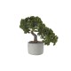 Bonsai Ciprés Artificial – Deko Verde E Gris - Asa Selection ASA SELECTION ASA66222444