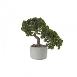 Bonsai Cipreste Artificial – Deko Verde E Cinza - Asa Selection