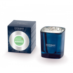 Vela Perfumada Té Blanco & Ylang-Ylang - Elessens Azul - Esteban Parfums