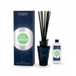 Scented Bouquet and Refill 150ml White tea & Ylang-Ylang Blue - Esteban Parfums