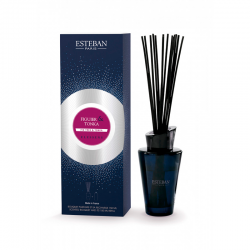 Scented Bouquet and Refill 150ml Fig Tree & Tonka Blue - Esteban Parfums