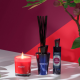 Bouquet Perfumado y Recarga 150ml Higuera & Tonka Azul - Esteban Parfums ESTEBAN PARFUMS ESTEFT-002