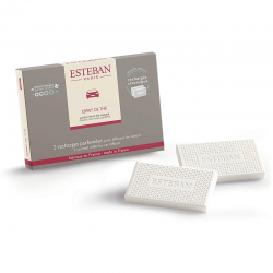 Scented Refill for Car Diffuser 2x - Esprit de Thé White - Esteban Parfums ESTEBAN PARFUMS ESTTHE-100