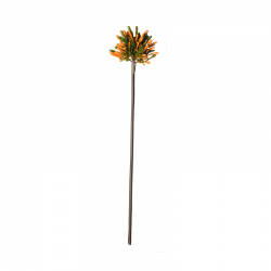 Artificial Allium Orange Twig 56cm - Deko - Asa Selection