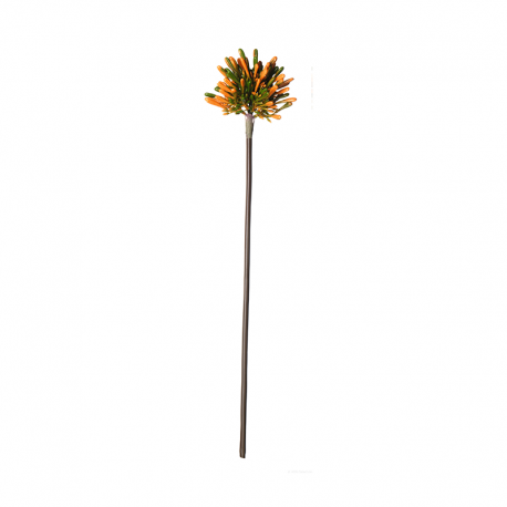 Artificial Allium Orange Twig 56cm - Deko - Asa Selection ASA SELECTION ASA66892444