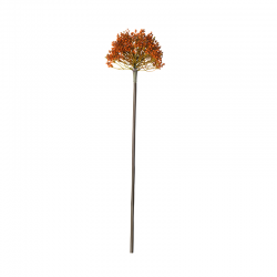 Artificial Allium Dark Orange Twig 57cm - Deko - Asa Selection