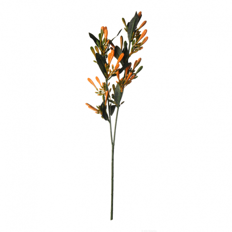 Artificial Honeysuckle Twig Orange 41cm - Deko Dark Orange - Asa Selection ASA SELECTION ASA66894444