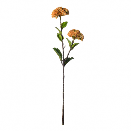 Artificial Coral Sedum Twig Orange 44cm - Deko - Asa Selection ASA SELECTION ASA66895444