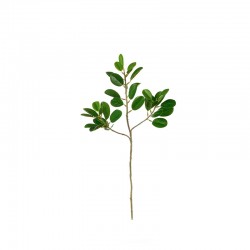 Ficus Leave Twig 48cm – Deko Green - Asa Selection ASA SELECTION ASA66468444