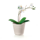 Vaso para Plantas Branco - Tierra - Guzzini GUZZINI GZ196200156