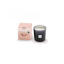 Refillable Large Scented Candle 450gr Iris Cachemire - Esteban Parfums